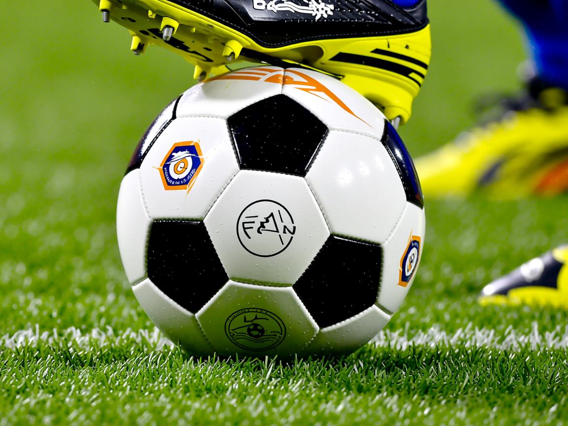 od体育官方入口-亚冠联赛中国青年队战胜 球迷现场气氛热烈,青年队打亚冠 第2张